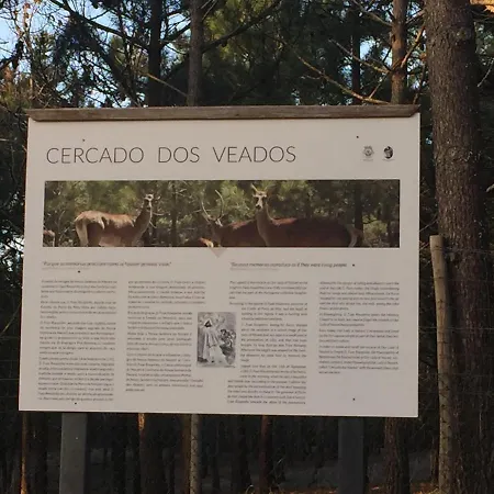 Διαμέρισμα De Standing *